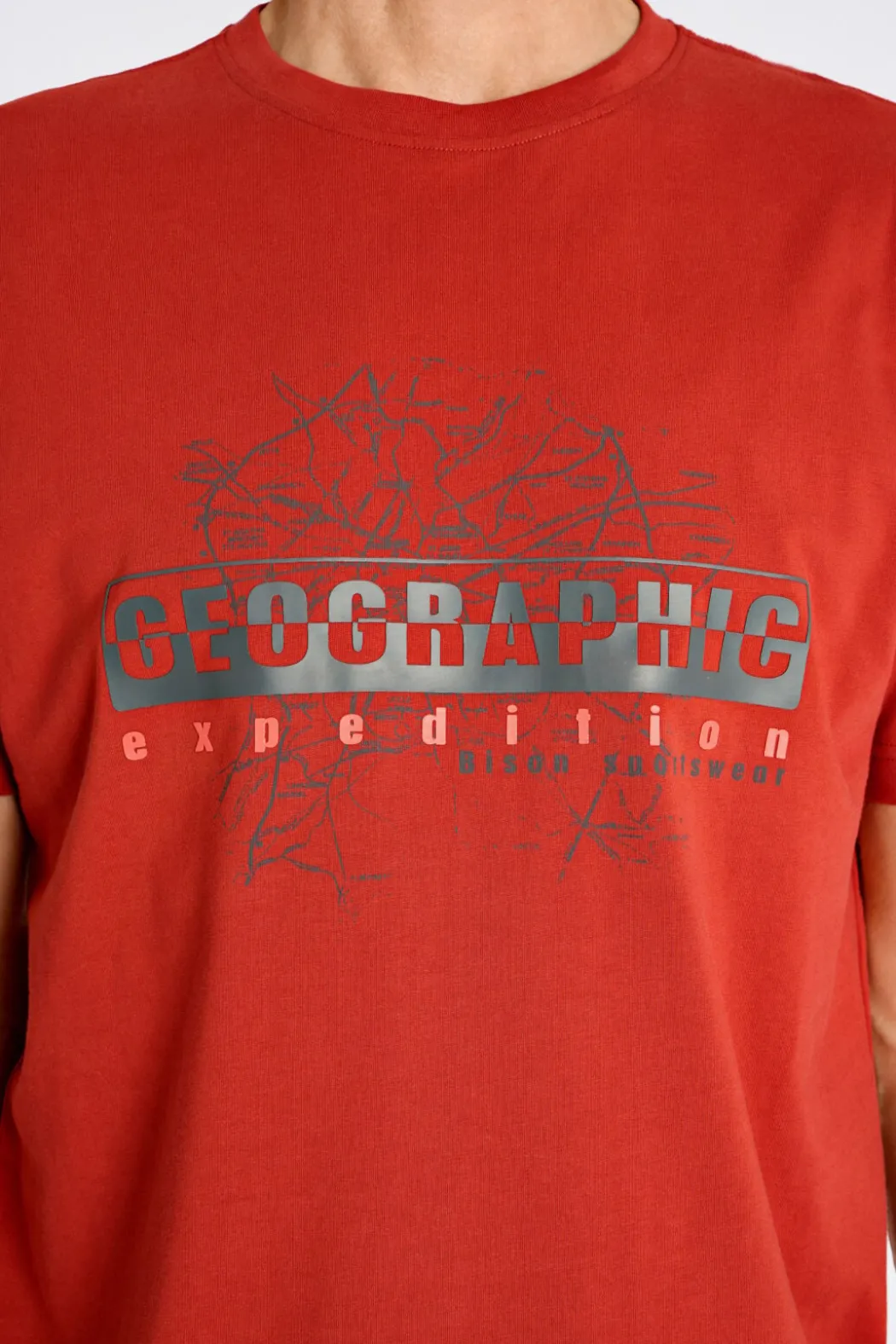 Bison T-shirt