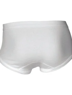 JBS Briefs