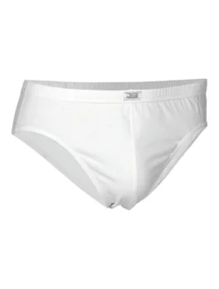 JBS Briefs