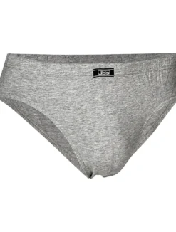 JBS Briefs