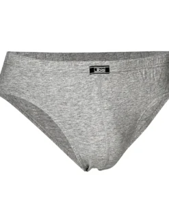 JBS Briefs