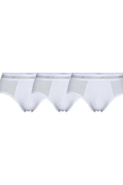 JBS Briefs