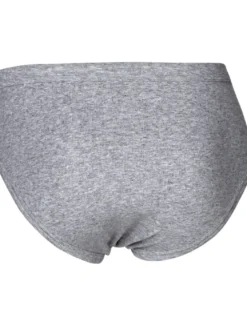 JBS Briefs