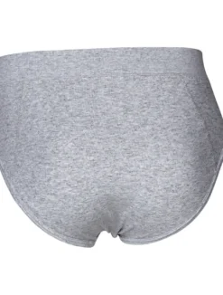 JBS Briefs