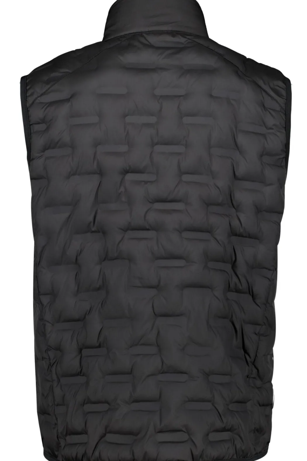 Morgan Vest