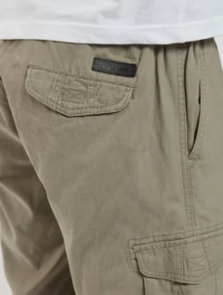 North Casual shorts