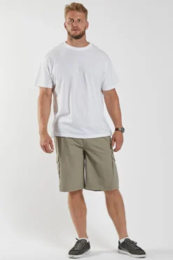 North Casual shorts
