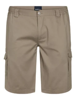 North Casual shorts