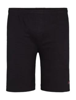 North Casual shorts