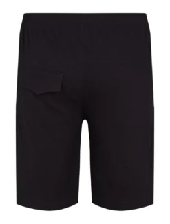 North Casual shorts