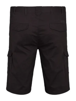 North Casual shorts
