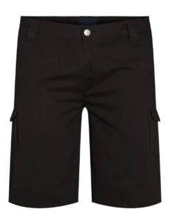 North Casual shorts