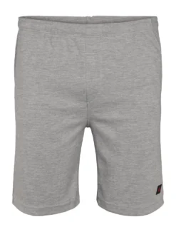 North Casual shorts