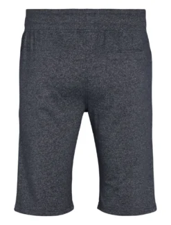 North Casual shorts