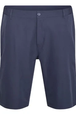 North Casual shorts