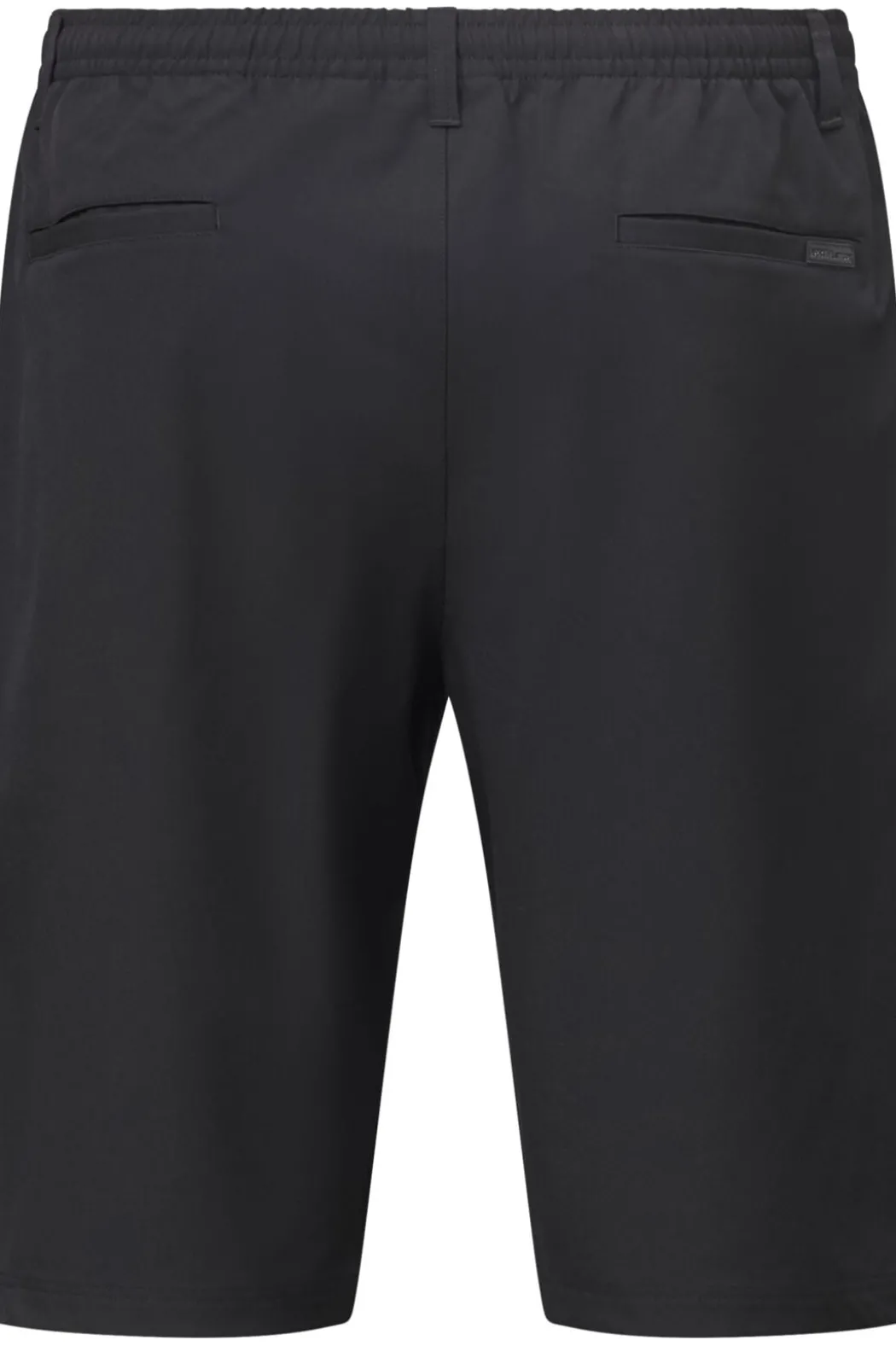 North Casual shorts