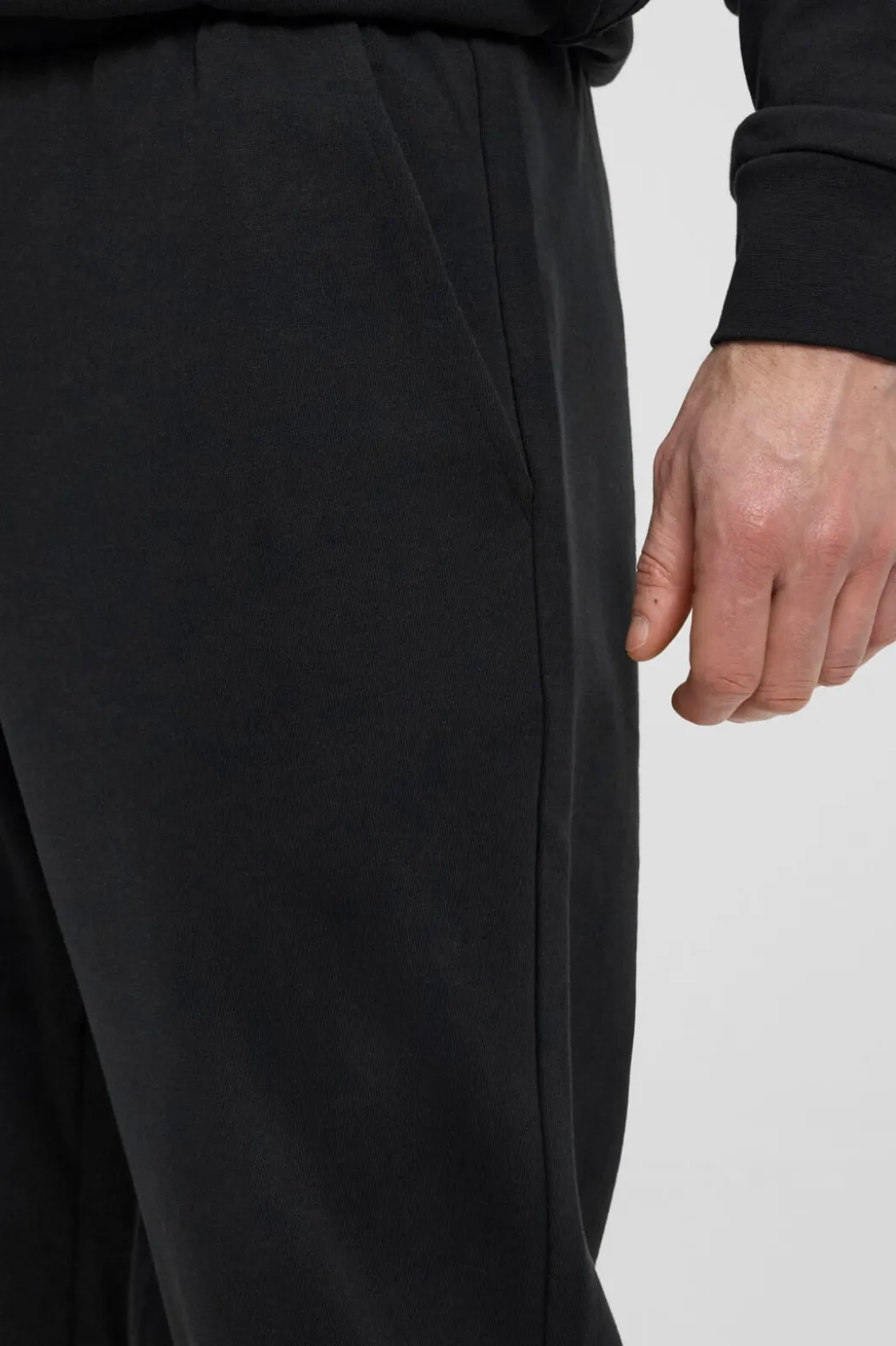 North Sweatpants