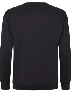 North Sweatshirt