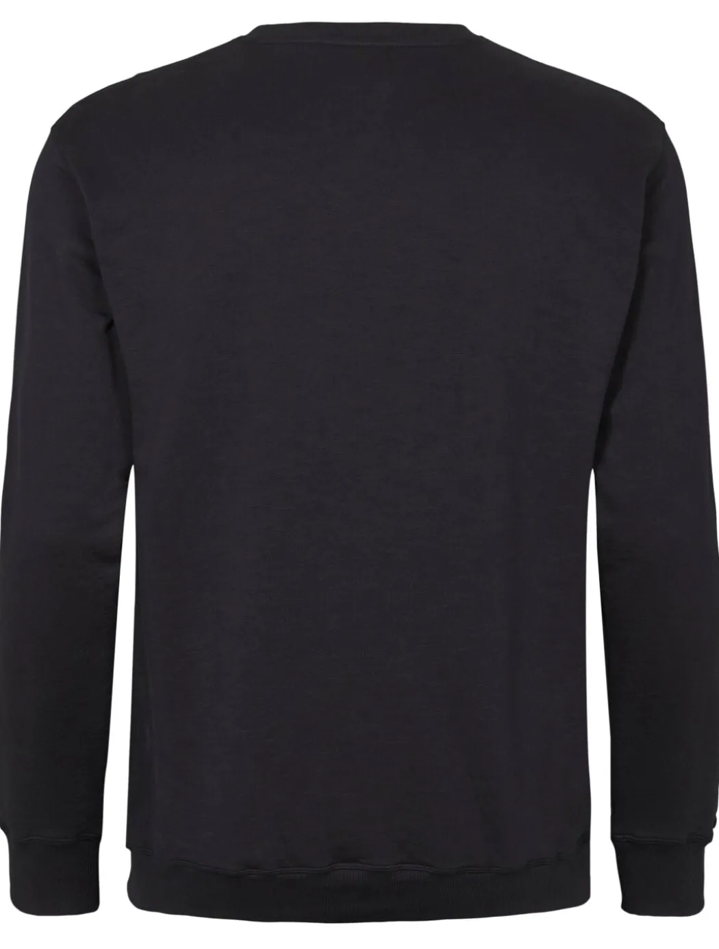 North Sweatshirt