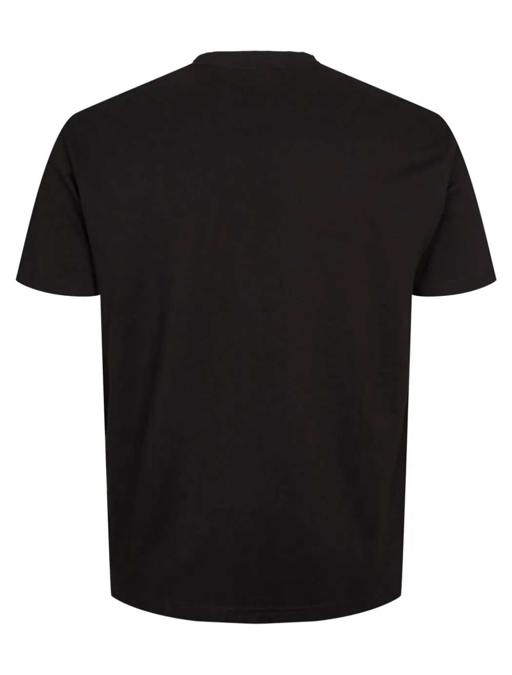 North T-shirt