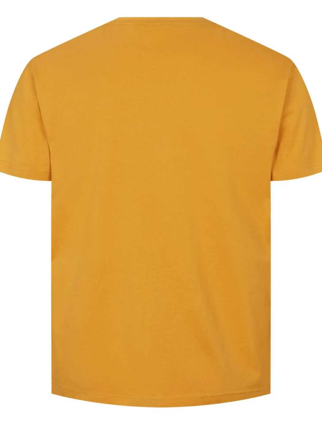 North T-shirt